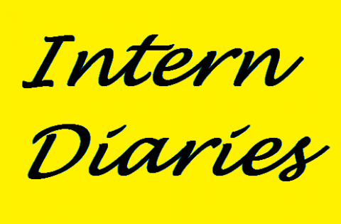 Intern Diary #3: What to Expect on Your First Day