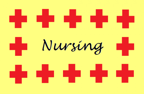  Career Spotlight: Nursing