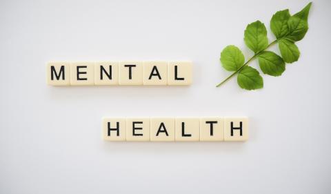 Top 10 Mental Health Challenges Facing Students