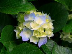 Martrice Gray's picture