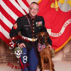 Robert Reed's picture