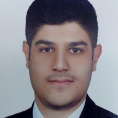 Portrait of Hadi Erfani